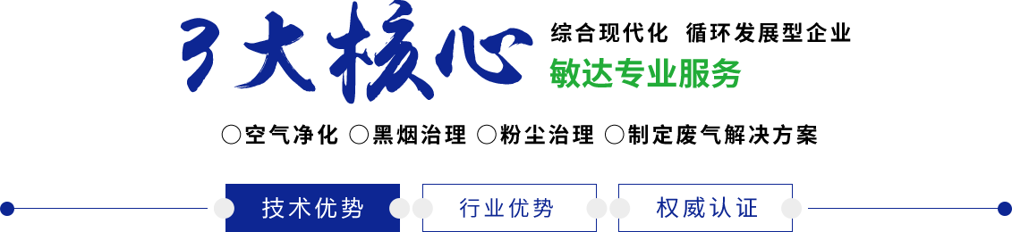 小骚逼被艹喷了视频敏达环保科技（嘉兴）有限公司